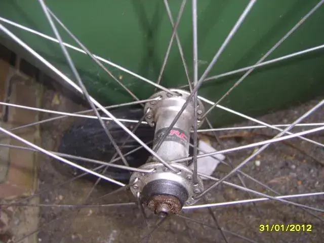 SV200887.webp