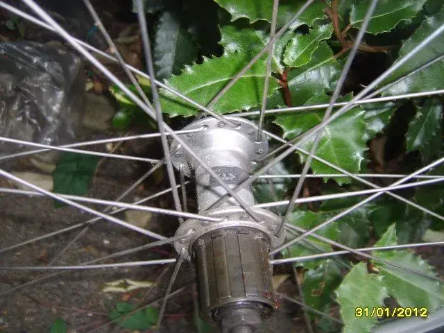 SV200888.webp