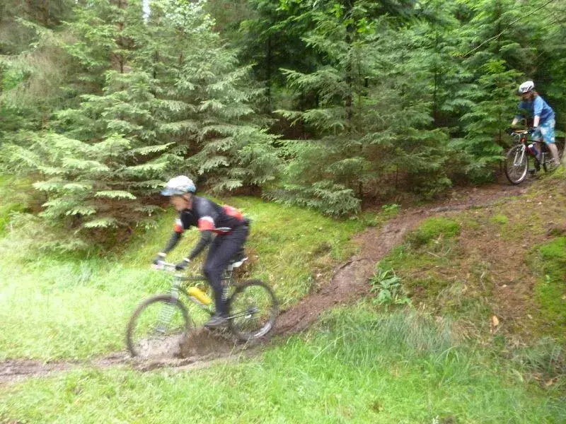 P1000423(1).webp