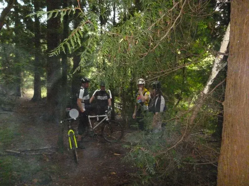 P1000427(1).webp