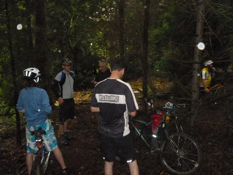 P1000426(1).webp