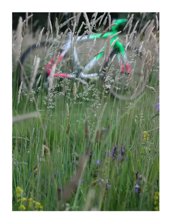 montage5.webp