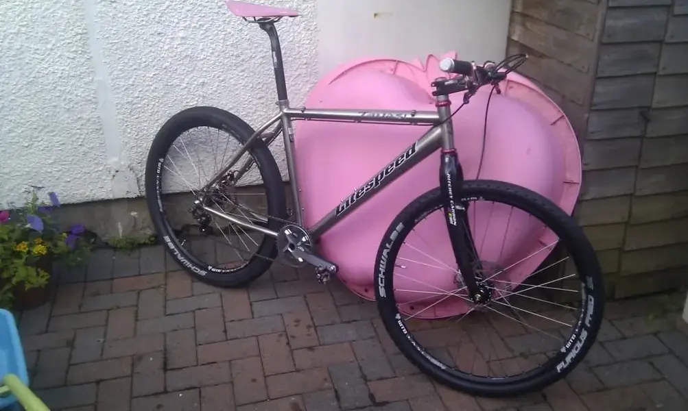 tan pink 2.webp