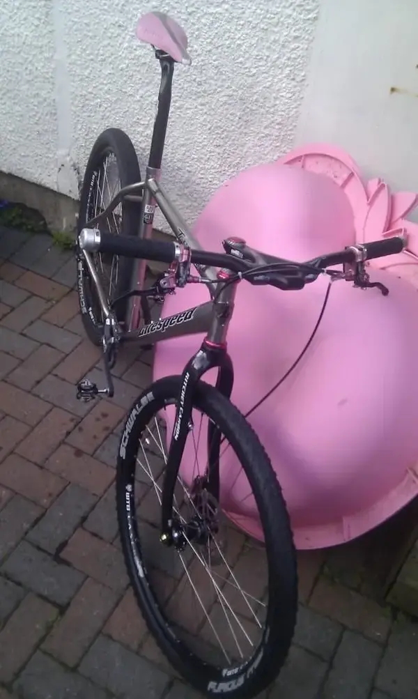 tan pink 1.webp