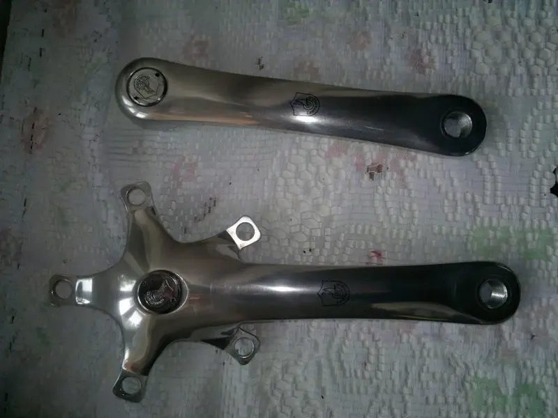 campagnolo 001.webp