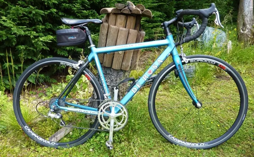 De Rosa.webp
