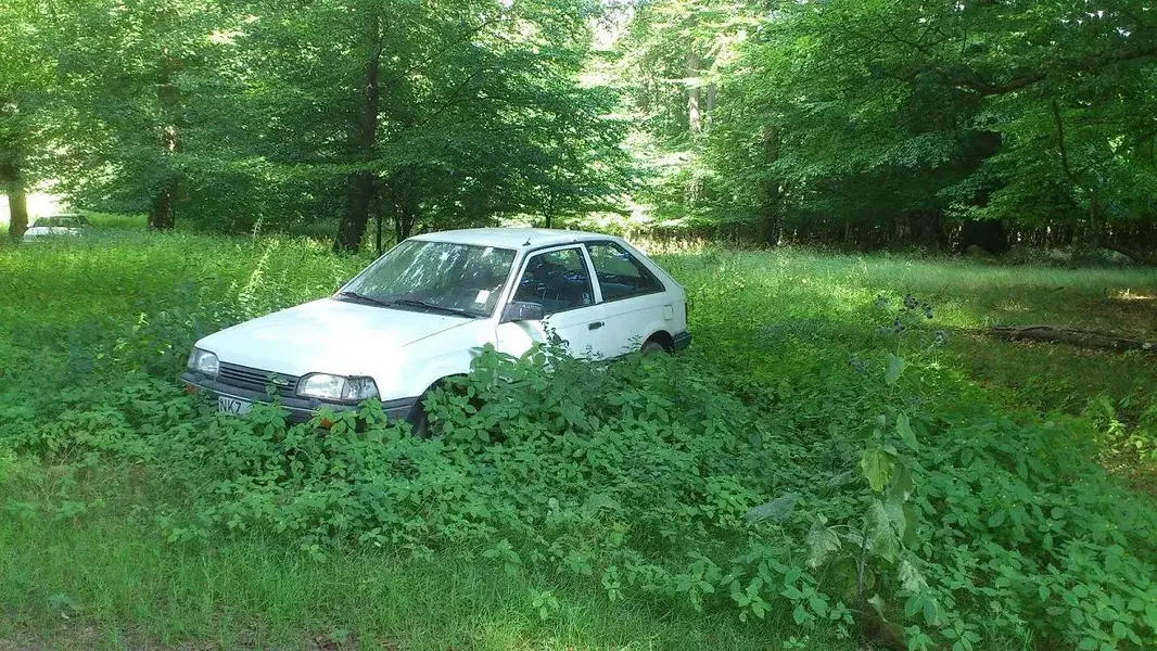 mazda.webp