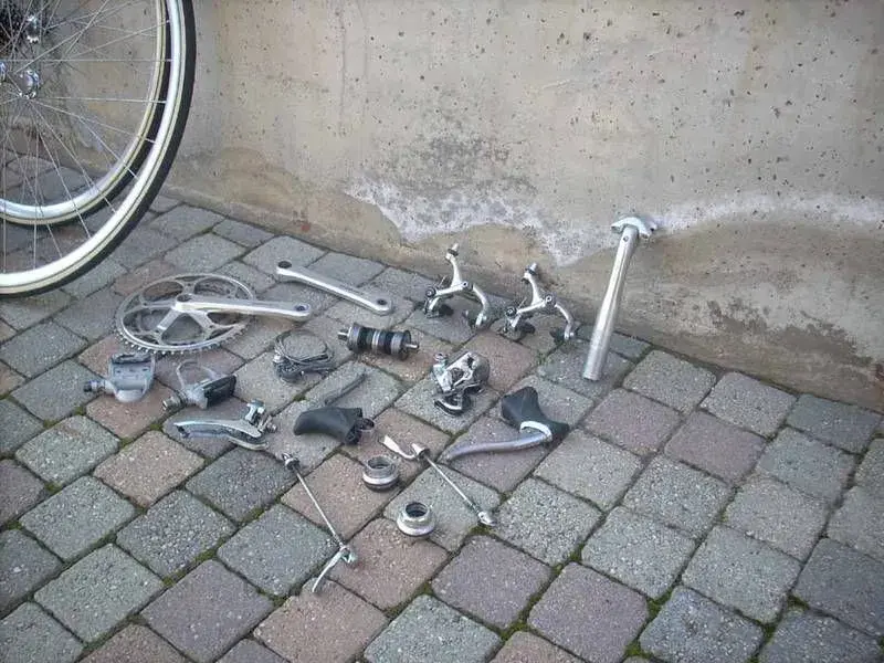 DSCN13791.webp