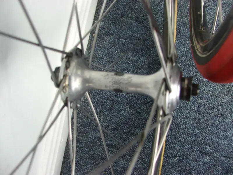DSCF7798.webp