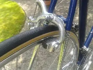 1345389547248.webp