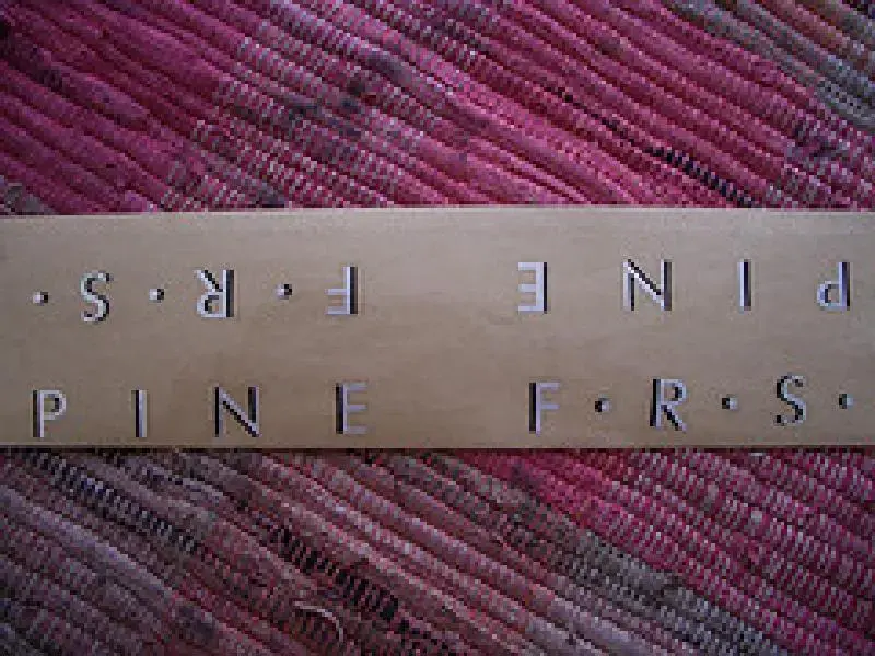 pine frs (Medium).webp