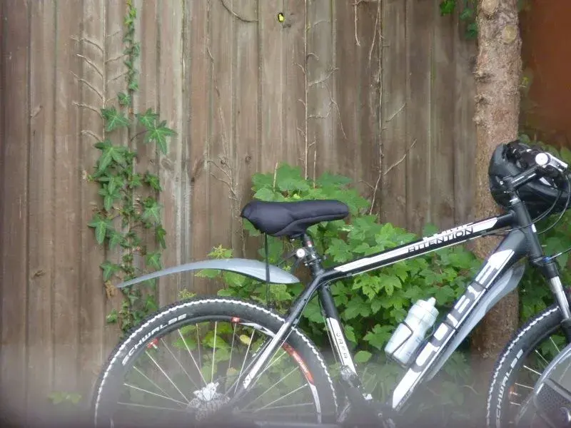 nice padded saddle.webp