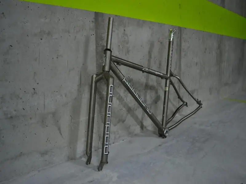 Image7.webp