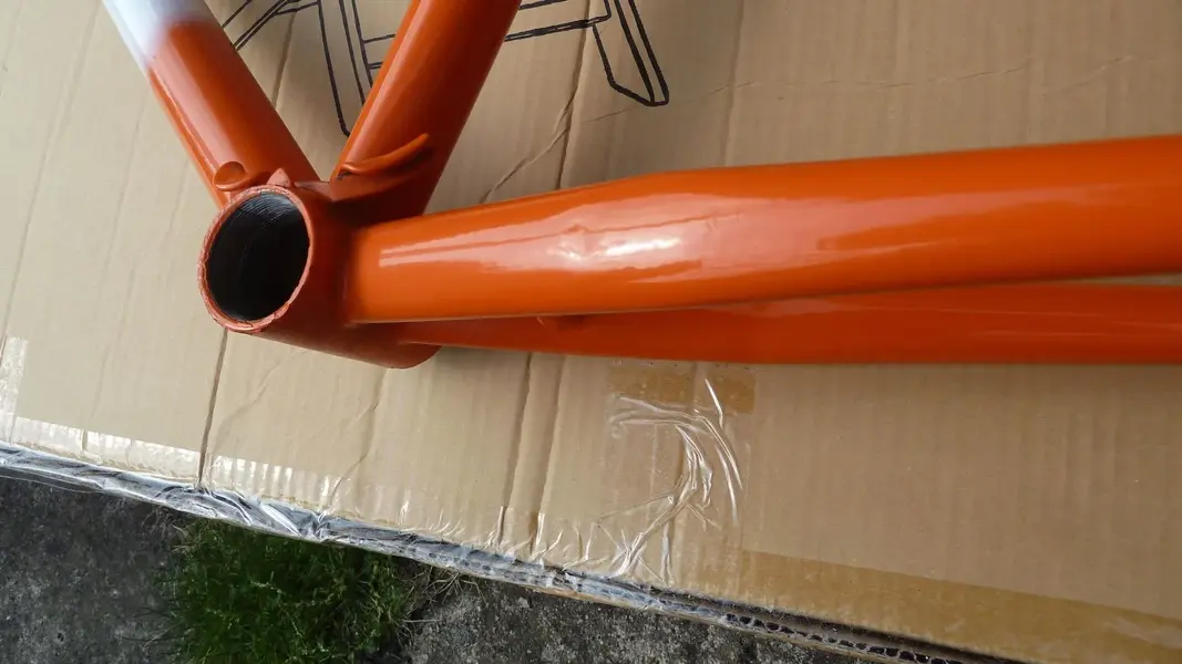 Orangeding.webp