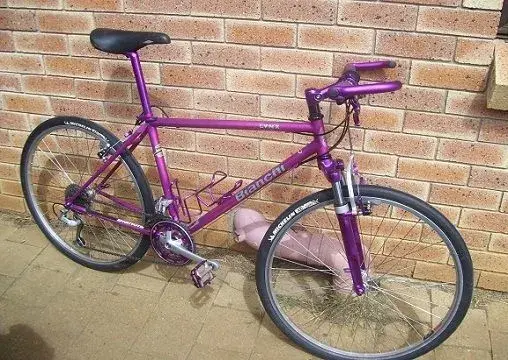 purple_bianchi_393.webp