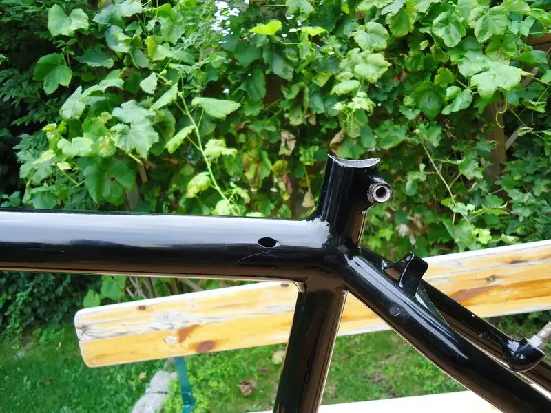 DSC00923.webp