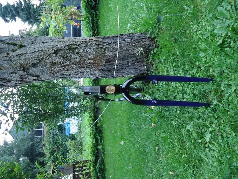 DSC00936.webp