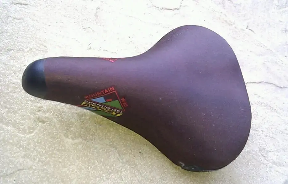 IMAG4431-1.webp
