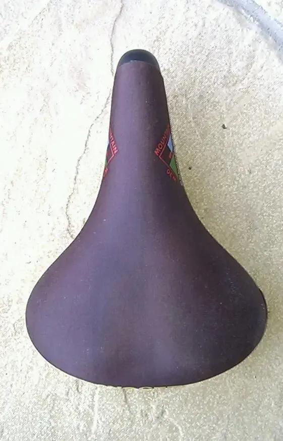 IMAG4434-1.webp