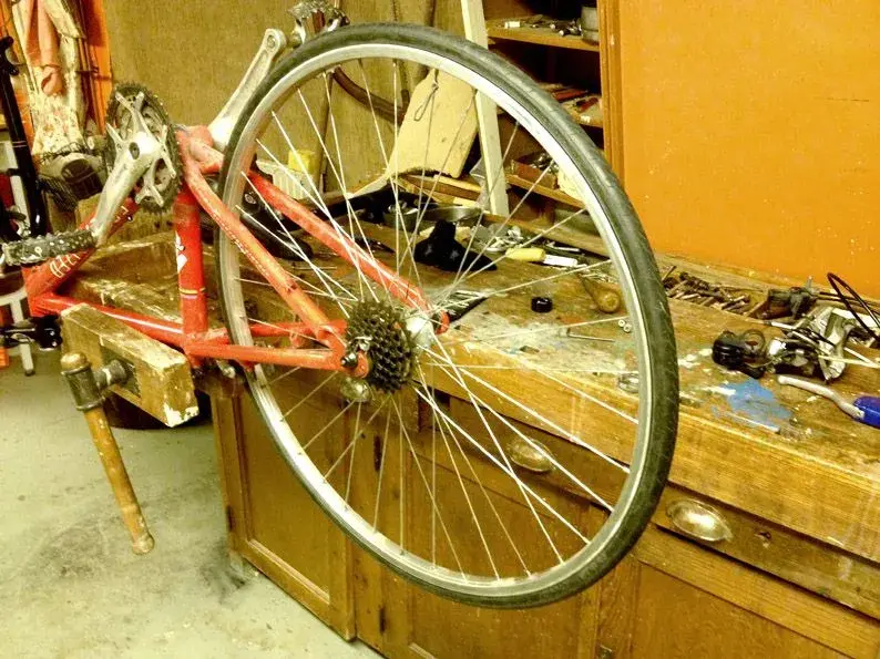 stumpy_wheel.webp