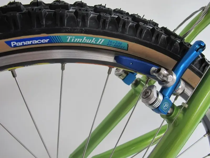 Rear brake.JPG