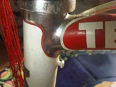 7862636874_e0d3bc969d_m.webp