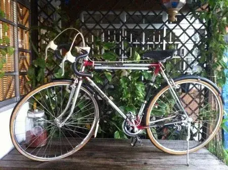 raleigh carlton (1) (450x336).webp