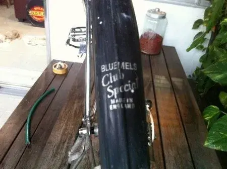 raleigh carlton (15) (450x336).webp