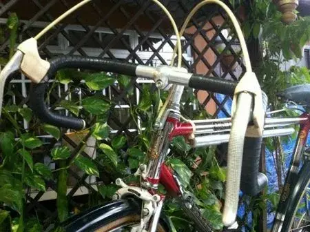 raleigh carlton (31) (450x336).webp