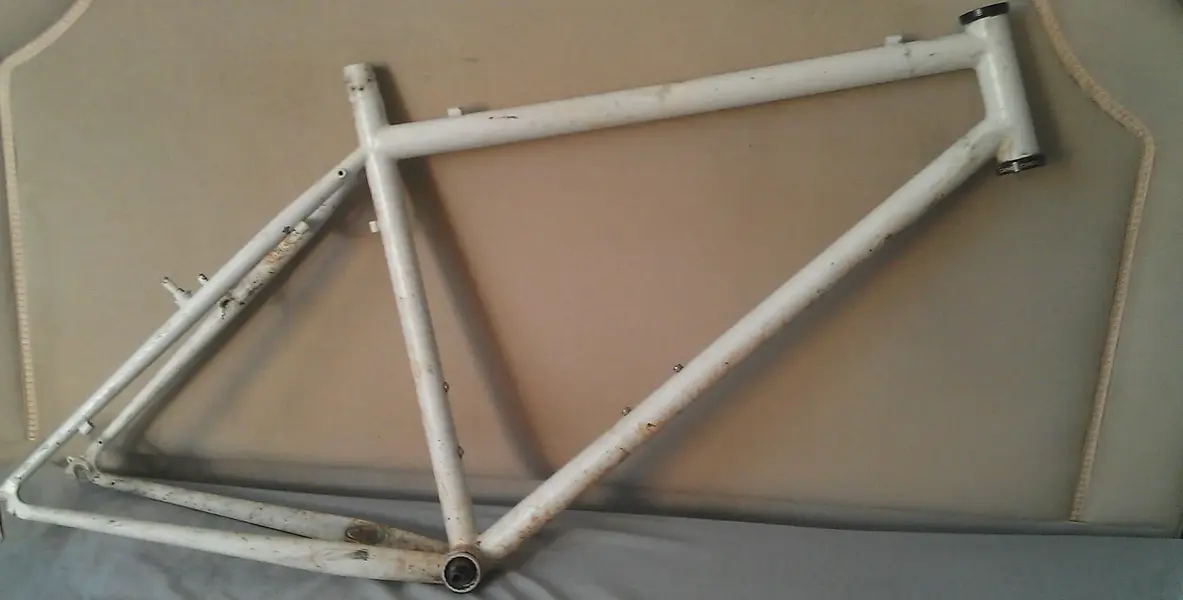IMAG0599-1.webp