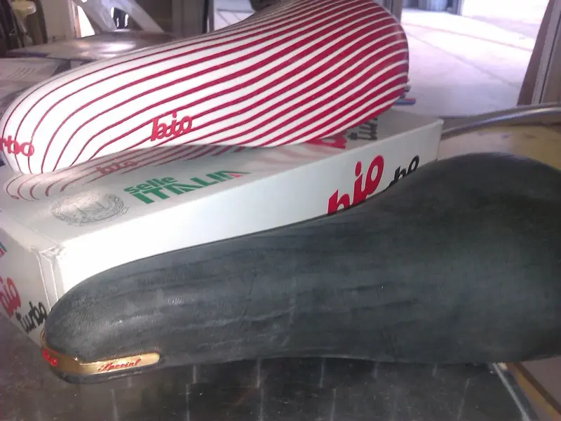 IMAG0610.webp
