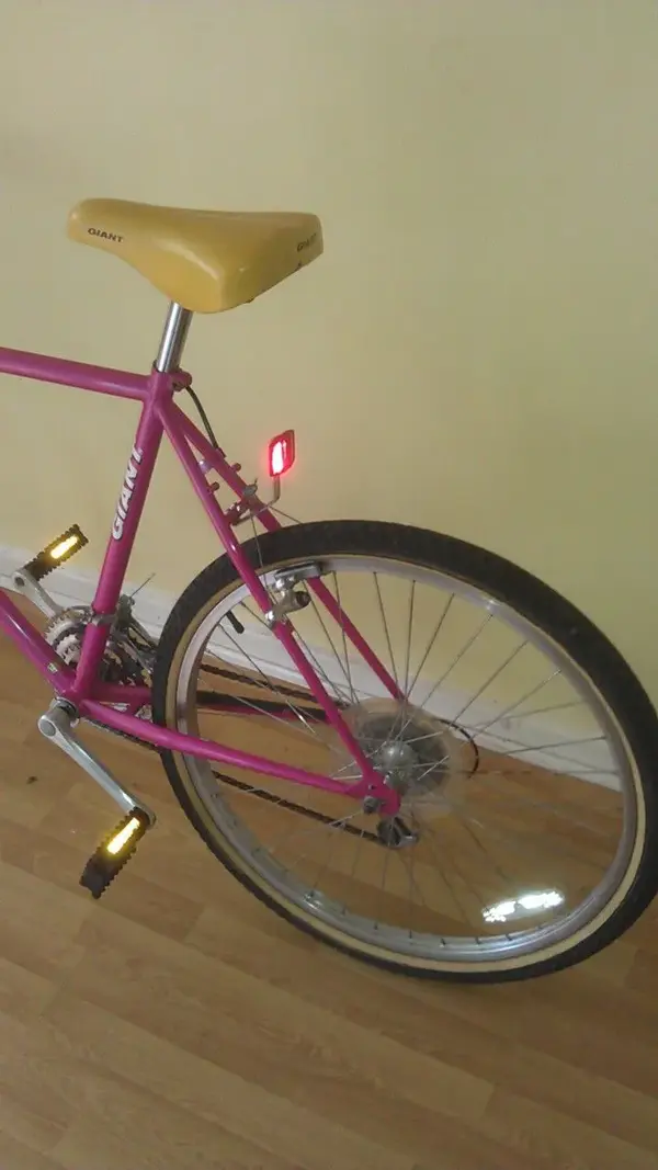 IMAG0008.webp