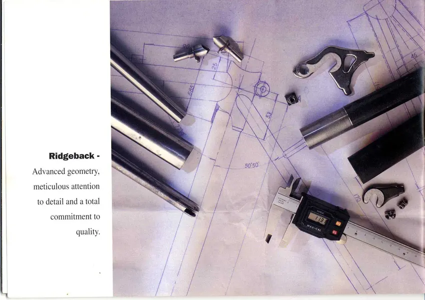 Ridgeback94_pg3.webp