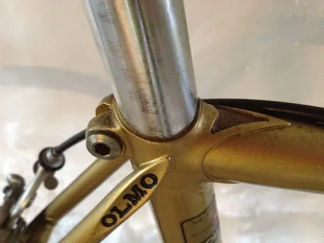 OLMO 060.webp