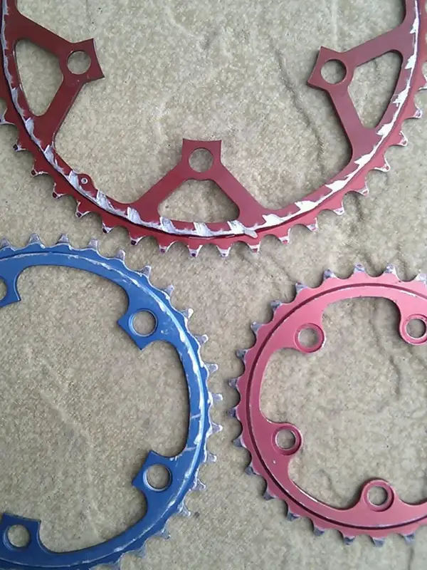 IMAG4538-1.webp
