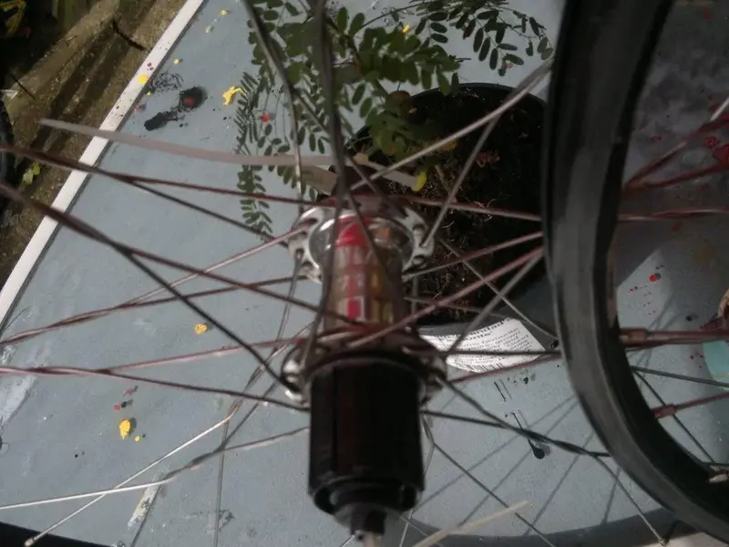 30082012 003.webp
