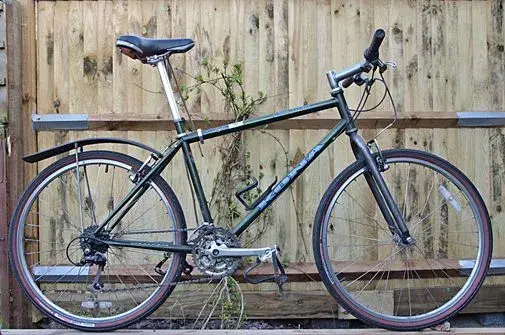 Kona small.webp