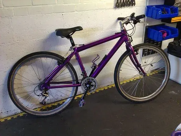 purple.webp