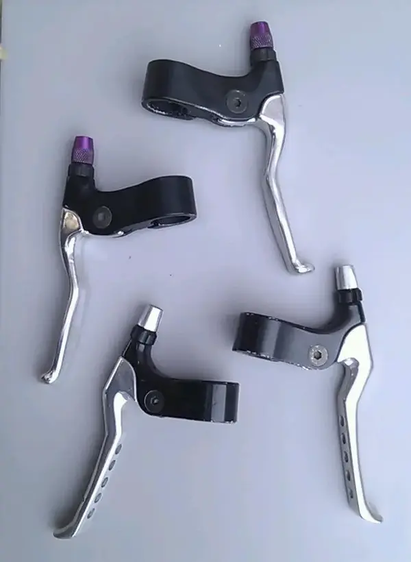 IMAG4539-1.webp