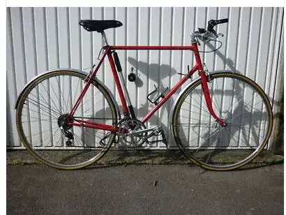 New Steed.webp