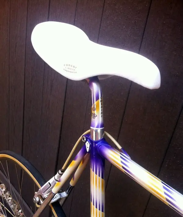 Chesini-Saddle.webp