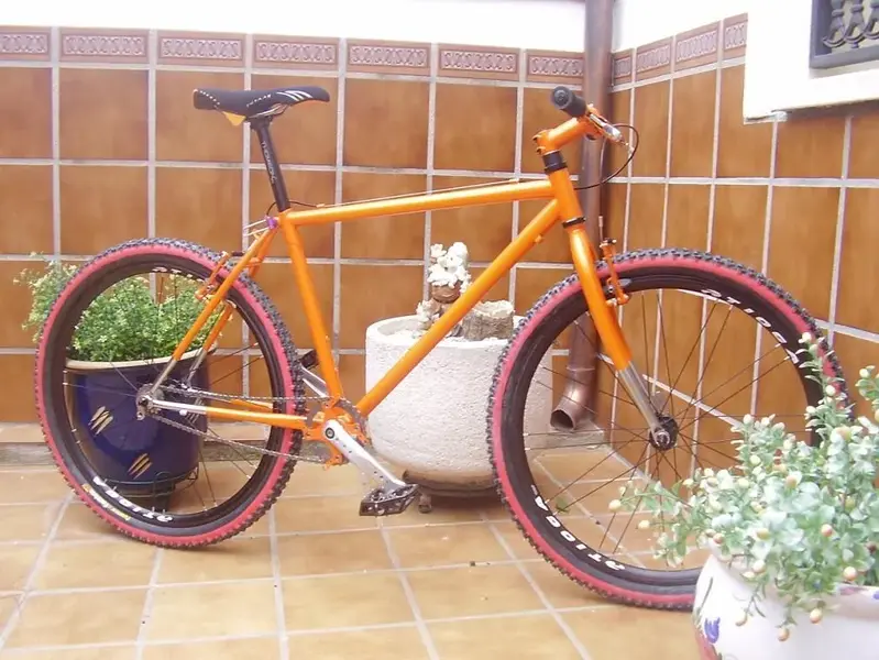 fotos 011.webp