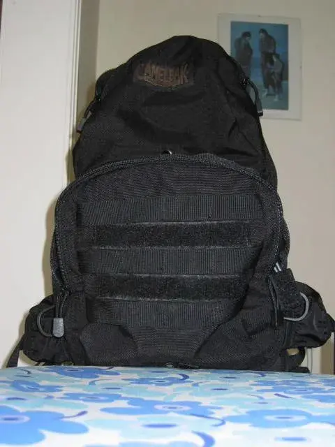 camel_front.webp