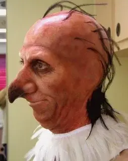 vulture.webp