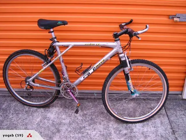 66096526_full.webp