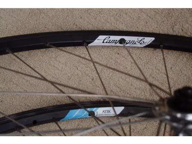 wheel1.webp