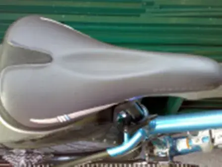 Saddle.webp