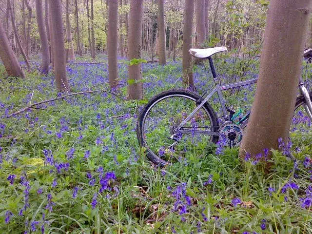 bluebell bike.webp