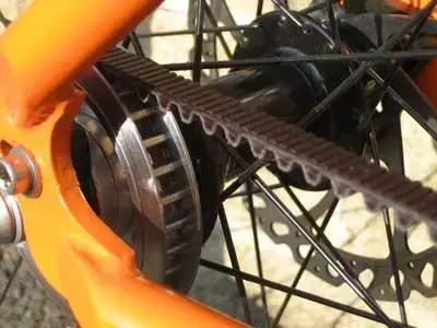 P7Belt3.webp