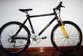 Ritchey_trial.webp
